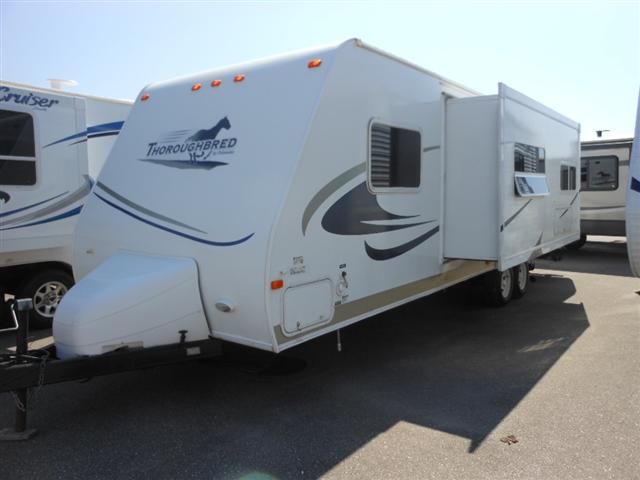 2006 Palomino Thoroughbred